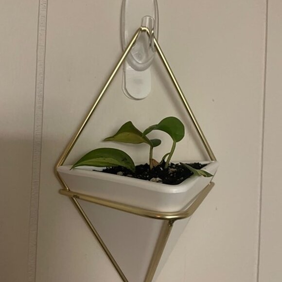 NEW  Hanging Planter Vase Wall Decor, Pot and Container for Succulents - Picture 2 of 9